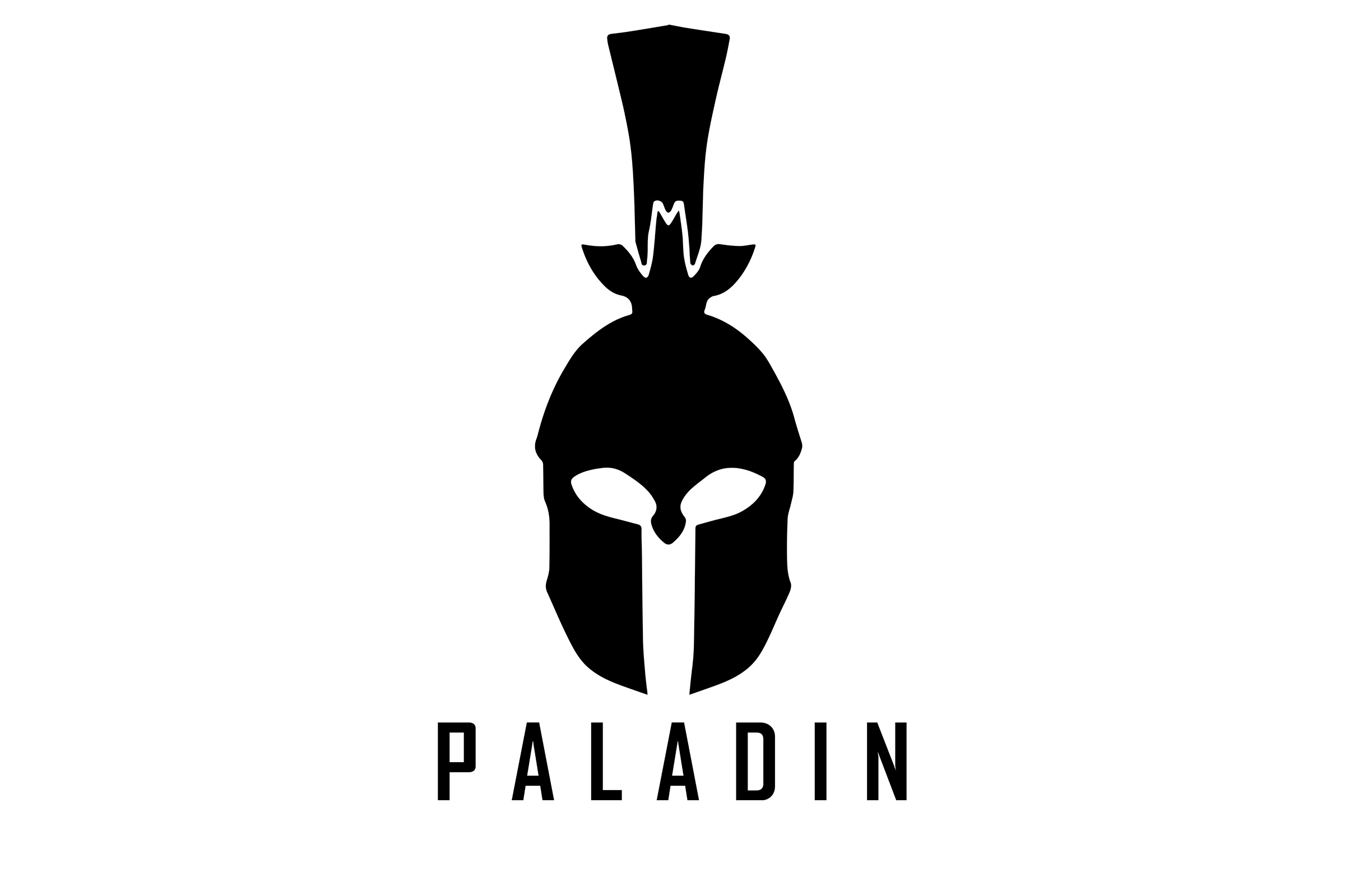 Alpinebike Paladin 8